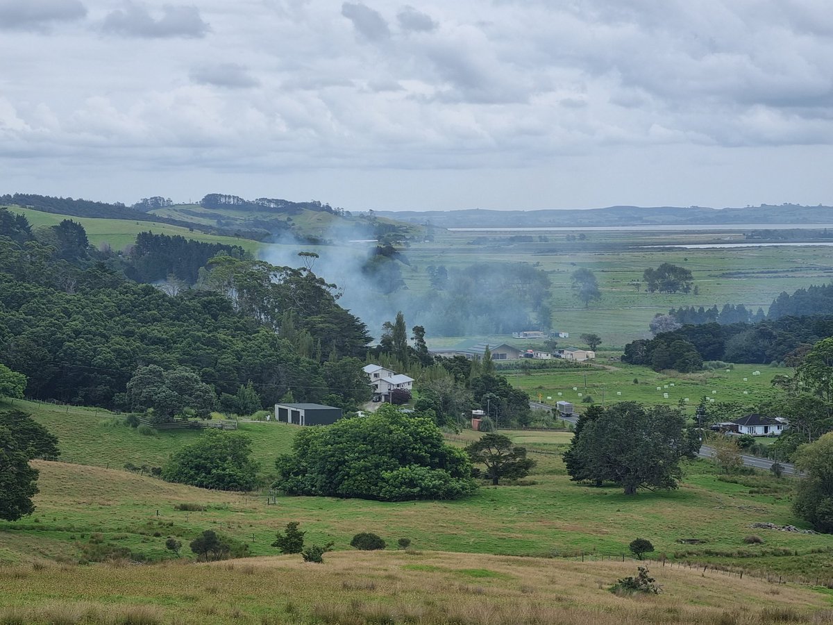 Adrian Deane 🇳🇿 tweet media