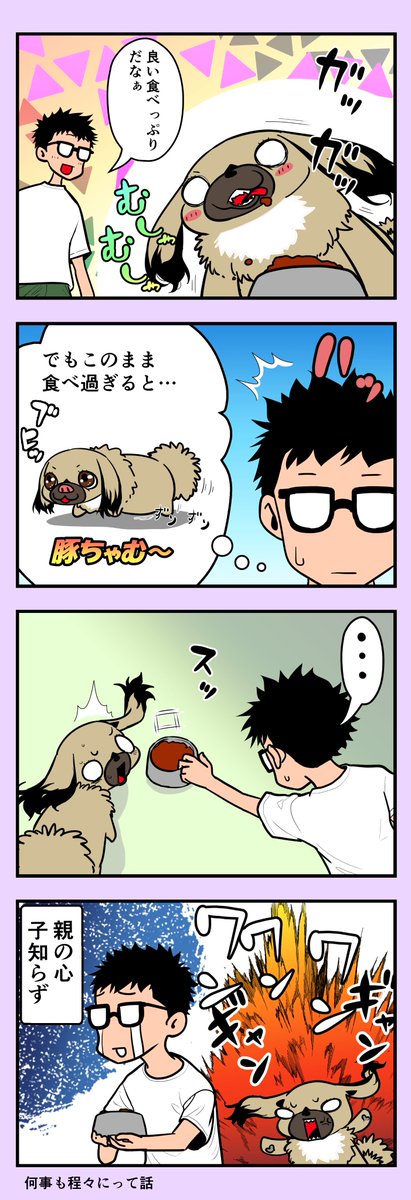 うちのちゃむ 〜食べすぎちゃむ編〜 #うちのちゃむ #ペキニーズ #ペキニーズ大好き #ペット #犬 #犬のいる暮らし #犬のいる生活 #可愛い #可愛すぎる #漫画が読めるハッシュタグ #エッセイ 