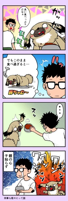 うちのちゃむ 〜食べすぎちゃむ編〜 #うちのちゃむ #ペキニーズ #ペキニーズ大好き #ペット #犬 #犬のいる暮らし #犬のいる生活 #可愛い #可愛すぎる #漫画が読めるハッシュタグ #エッセイ 