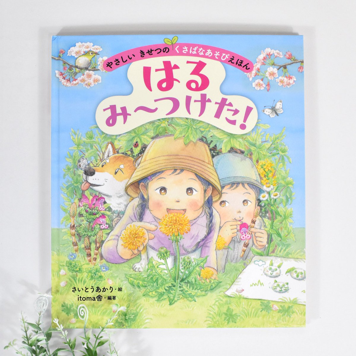『やさしい きせつの くさばなあそびえほん　はる み〜つけた！』(金の星社)
itoma舎 編著／さいとうあかり 絵

2/10頃発売
ネットショップ・オンライン書店でお求めいただけます。

図書館で扱う丈夫なつくりの絵本なので、
外に持ち出して、春の草花あそびと一緒に楽しんでいただけたら嬉しいです🌸