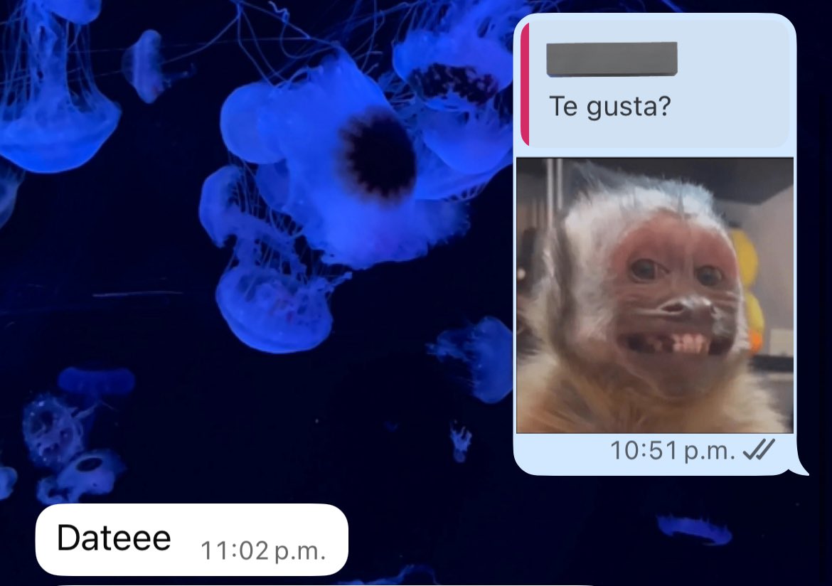 ese sticker me define perfectamente