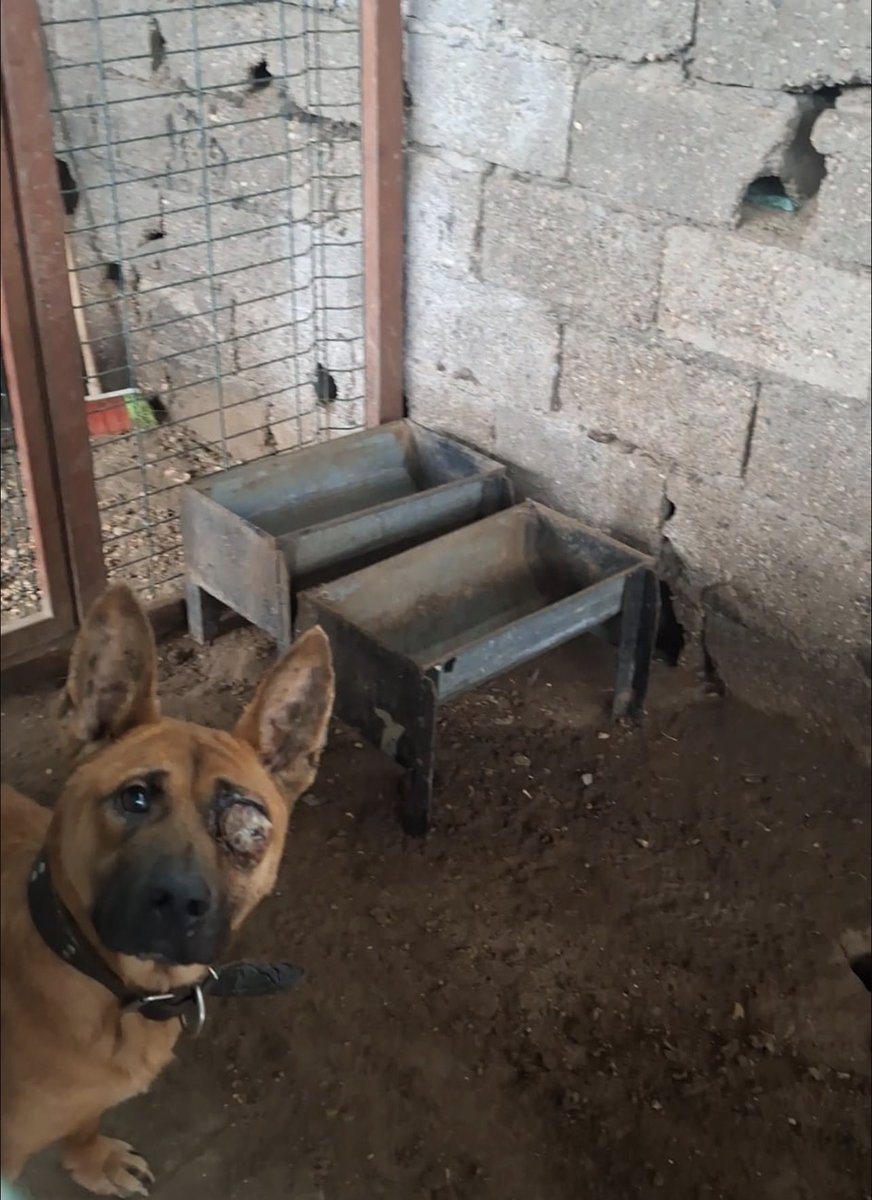 Finike Belediyesine sorsak "yeni geldi" der, muhtemelen.