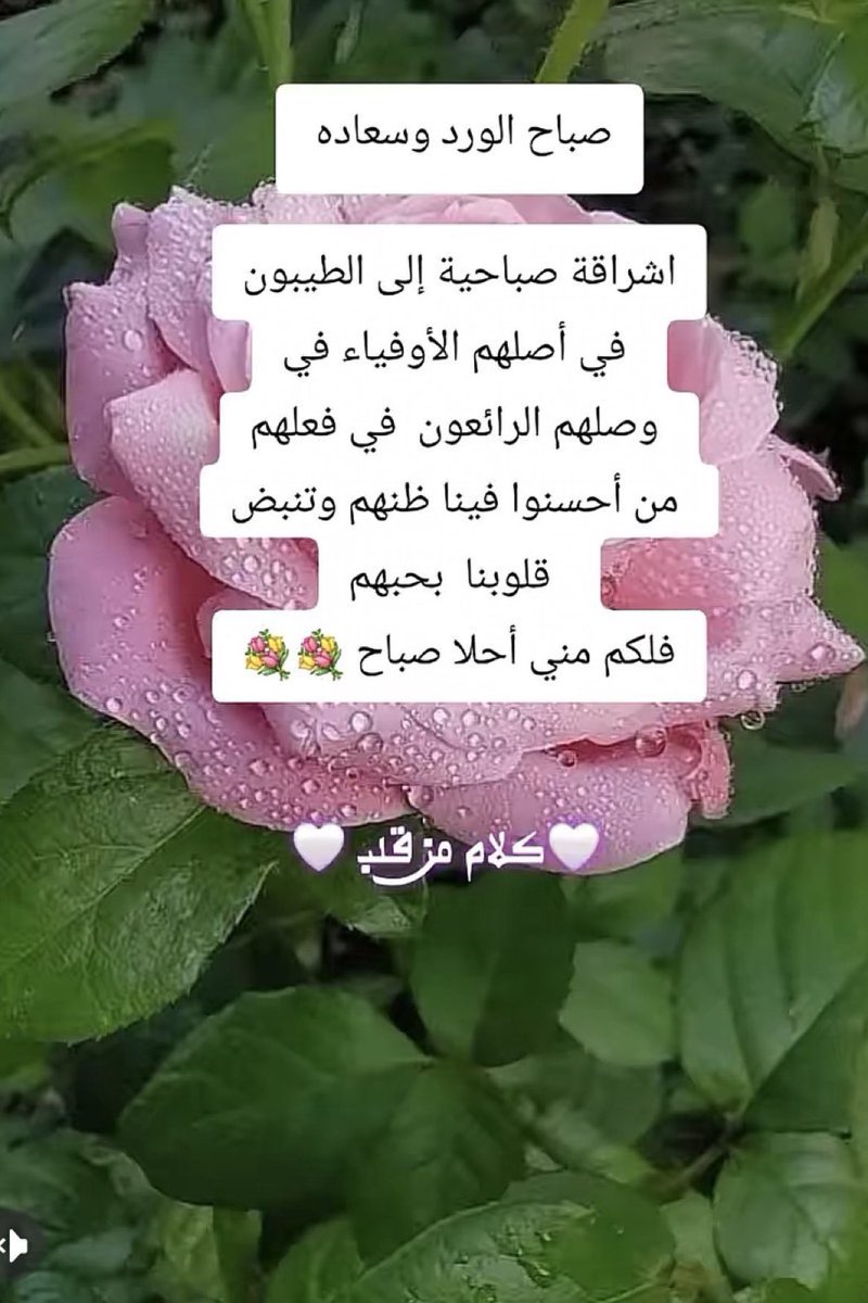💚💚#صباح_الخير_والسعاده_للجميع💚💚