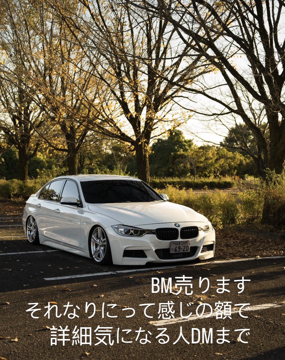 きゃんもき tweet media