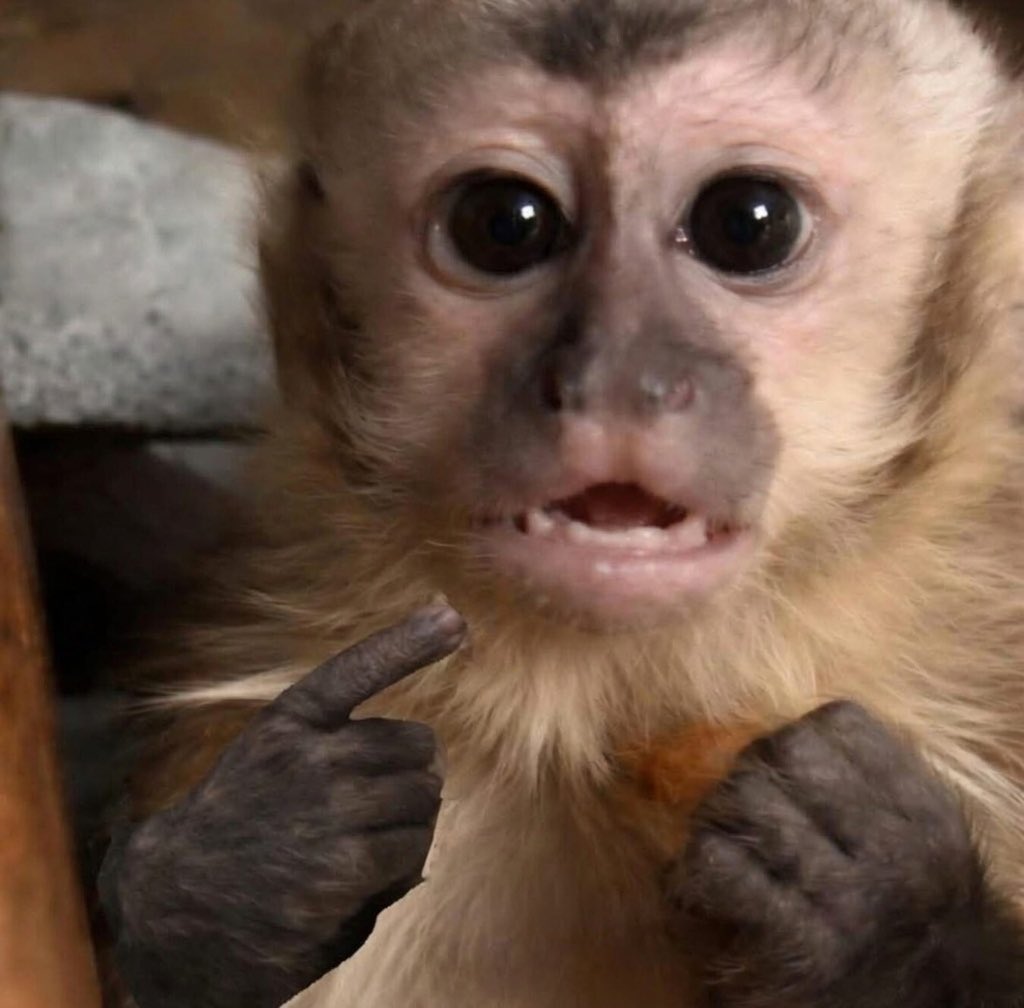 Bad Bunny: “Tú también     |           Yo
deberías de creer en ti…”     |