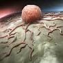 Chemistryaward's tweet image. Senescent neutrophils promote tumor survival across cancer types
More Information: research-chemistry.blogspot.com
#sciencefather #researchchemistry #biochemistry #scientsit #professor #phd #awards #tags #shorts