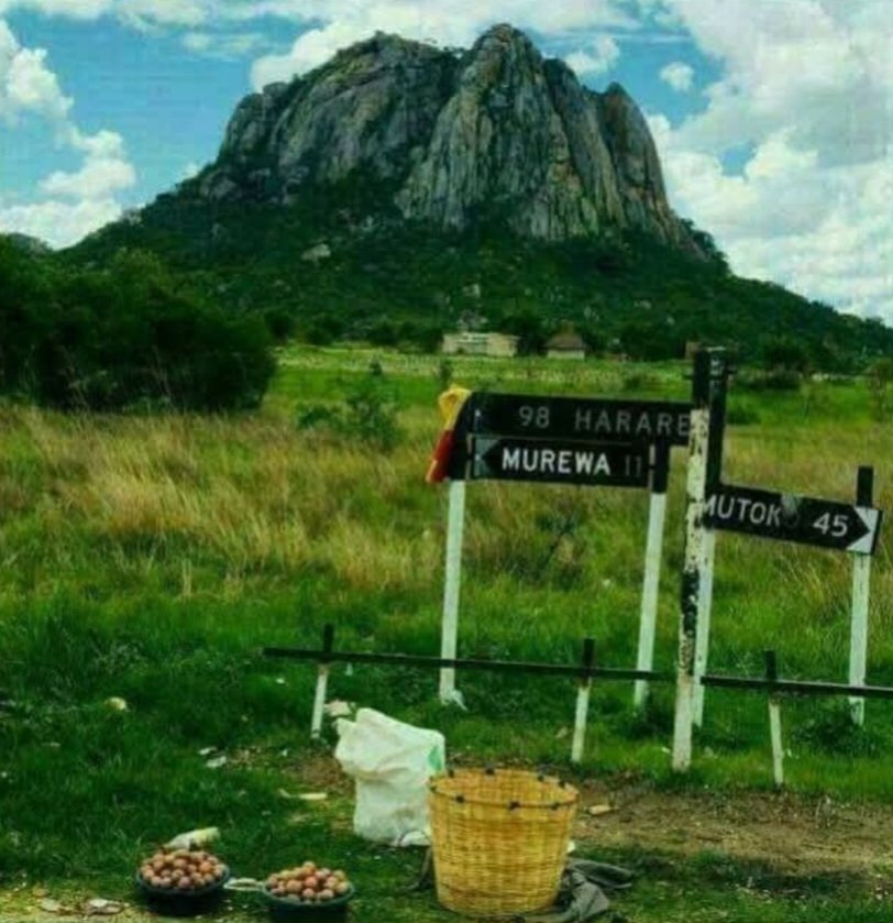 There is no way we are going to allow the Mnangagwa family to do as they wish with our country's constitution. Otherwise if we do, posterity will shame us, for generations to come, as cowards who did nothing while our constitution was being sodomised by a few greedy outlaws.