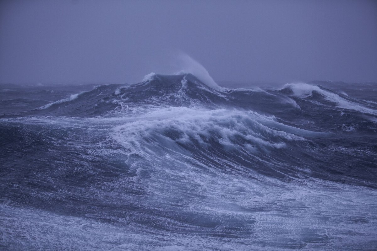 Australian Centre for Antarctic Science (ACEAS) tweet media