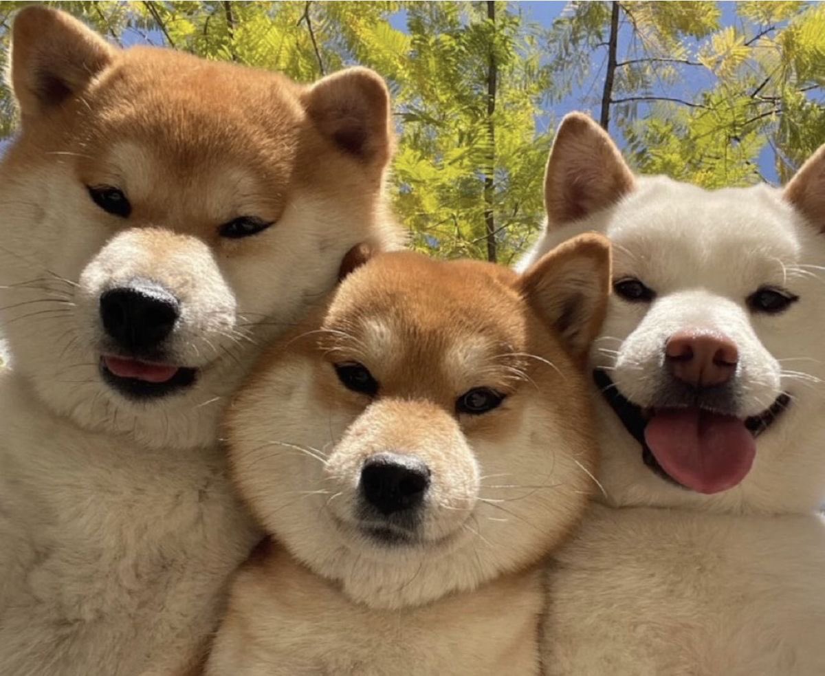 แก้งนี้จะอยู่ด้วยกันอีกมั้ยน้อปีนี้