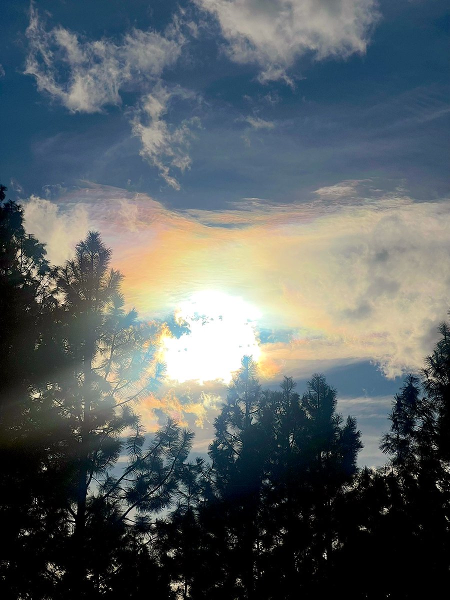 Kaseezy's tweet image. Can we at least know what toxins were being exposed to by force? 
Do we not deserve that?
@POTUS @RobertKennedyJc #GeoEngineering #weatherwarfare #WeatherModification #chemtrails