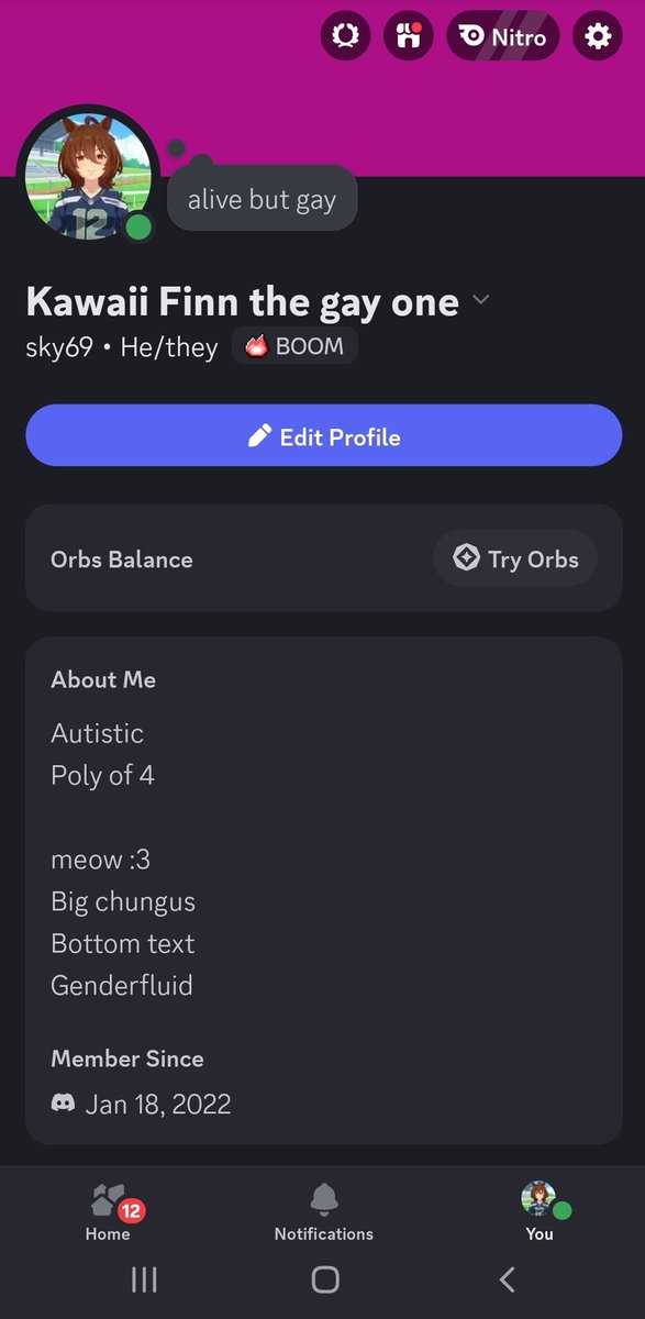 finn the genderfluid catboy (ON HIATUS)🏳️‍🌈😺 tweet media