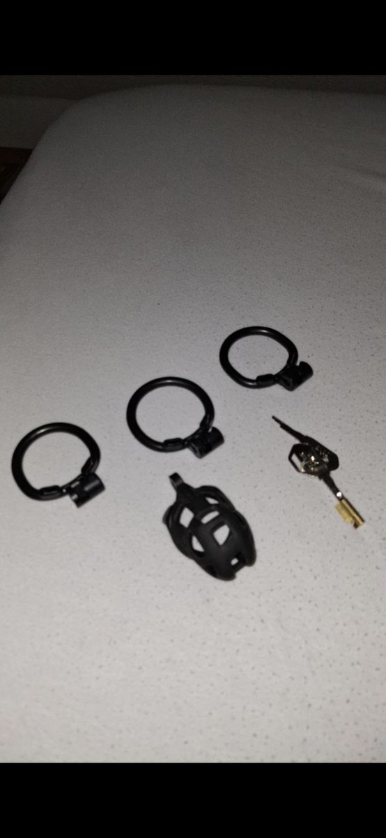 Pup Slave Atlas tweet media