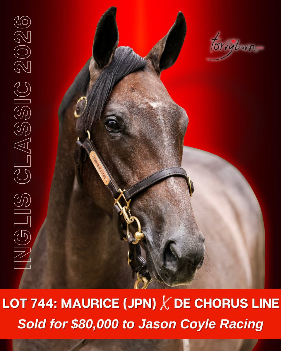 Torryburn Stud tweet media