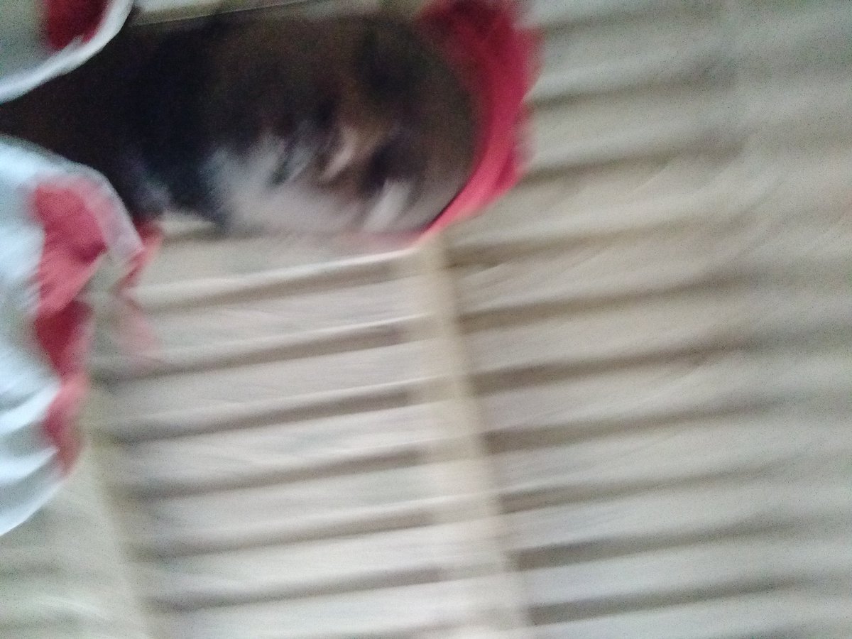 Nyimbo za ana osewela golf tweet media