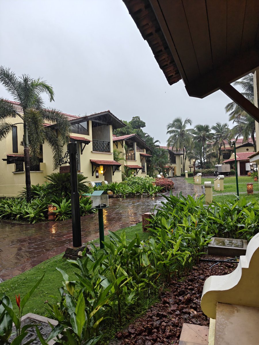 Harshit Bohra | Cards Wizard tweet media