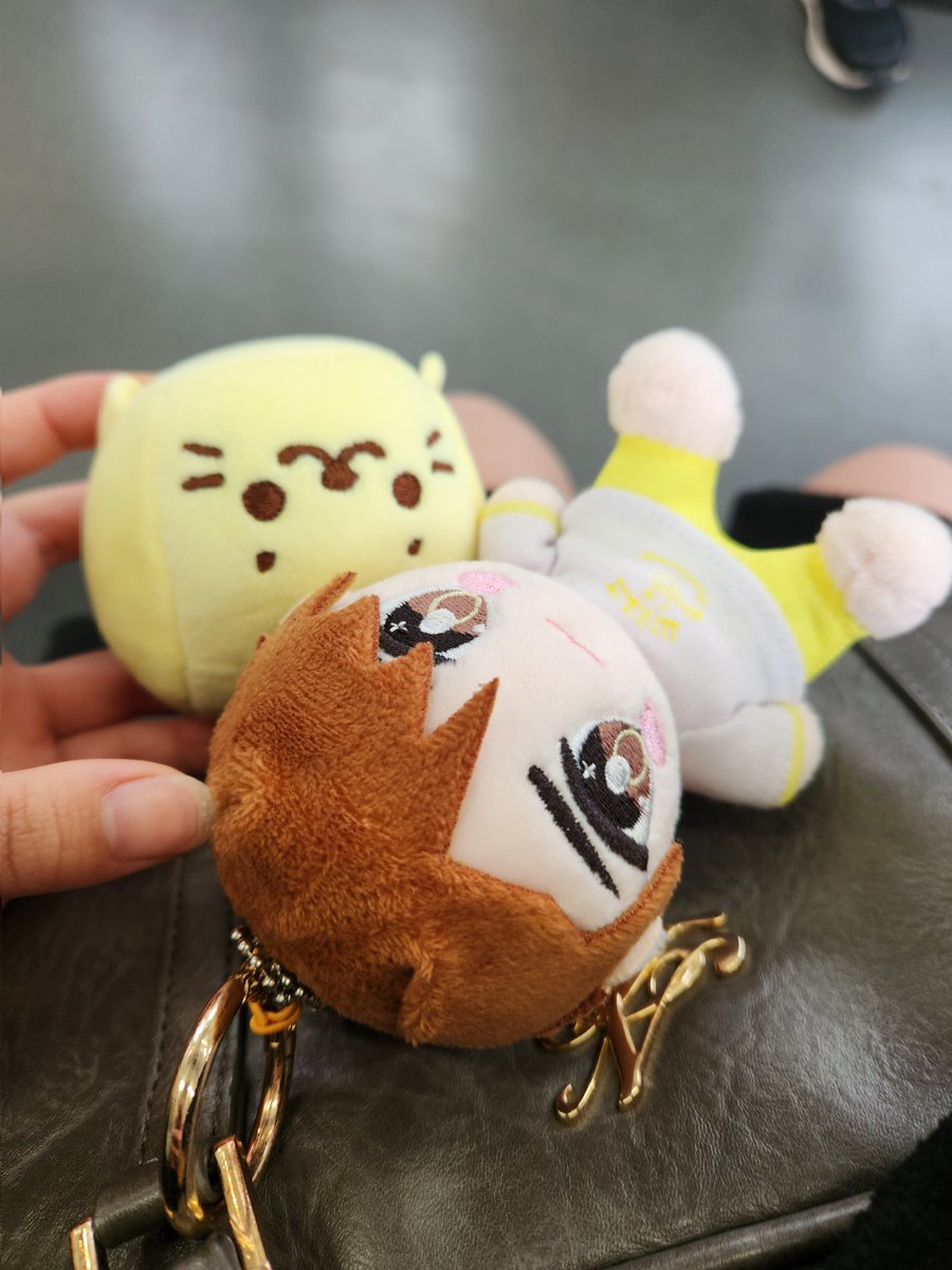 まめつぶ (@mametsubu_love) / Posts / X