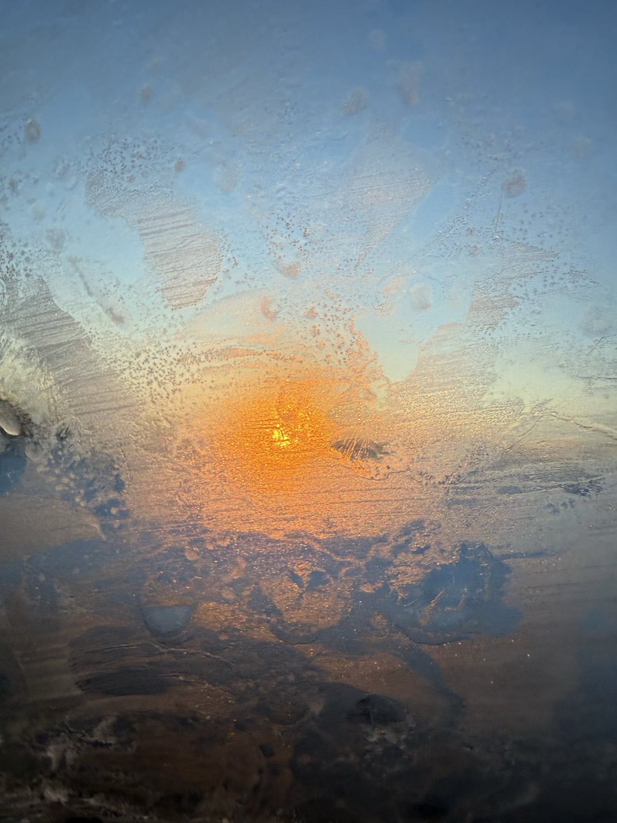 Good morning✨friends✨❄️🤍I'm sharing my morning photos✨the sun is good🤍❄️✨
