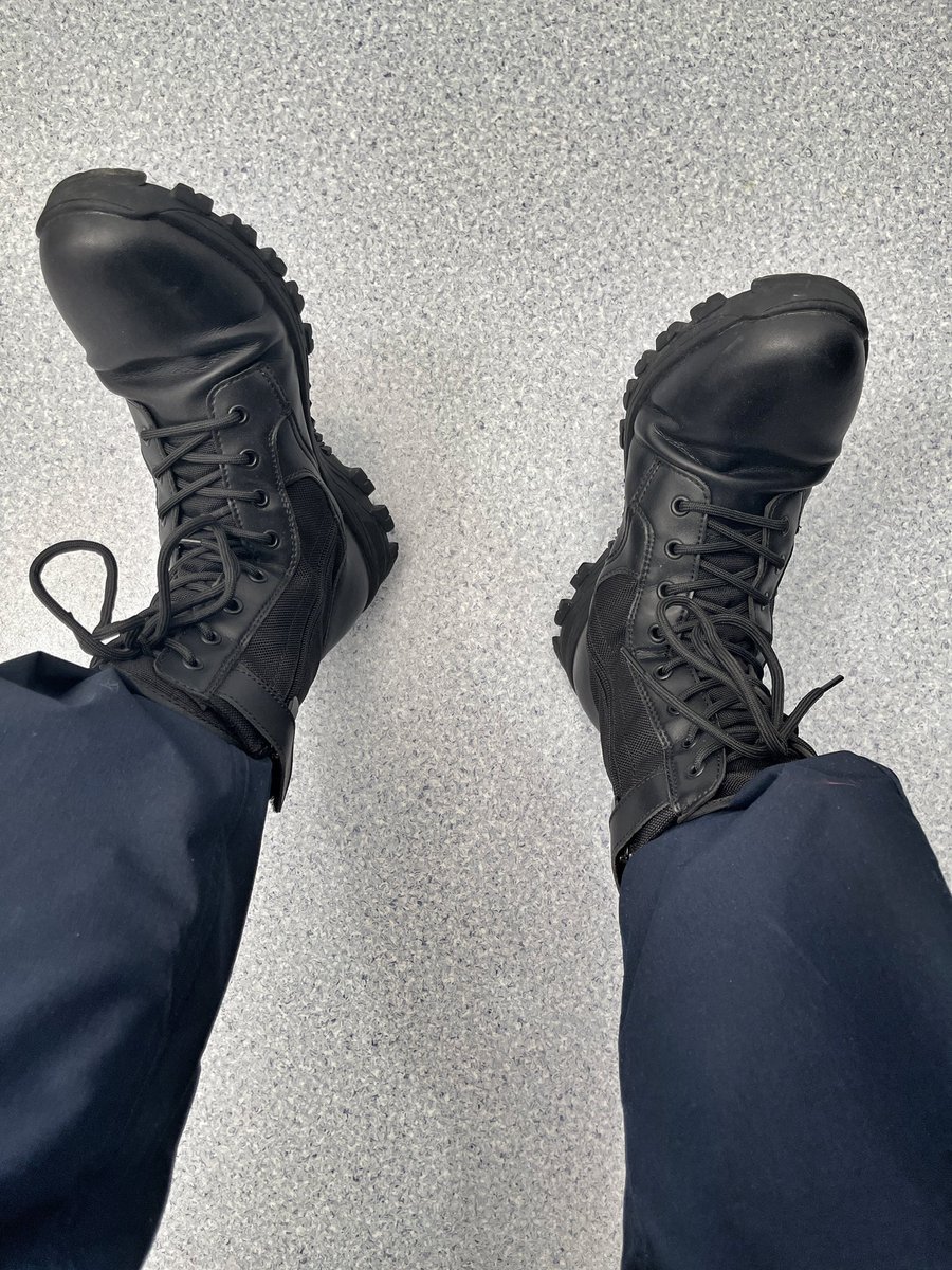 仙肉君 tweet media