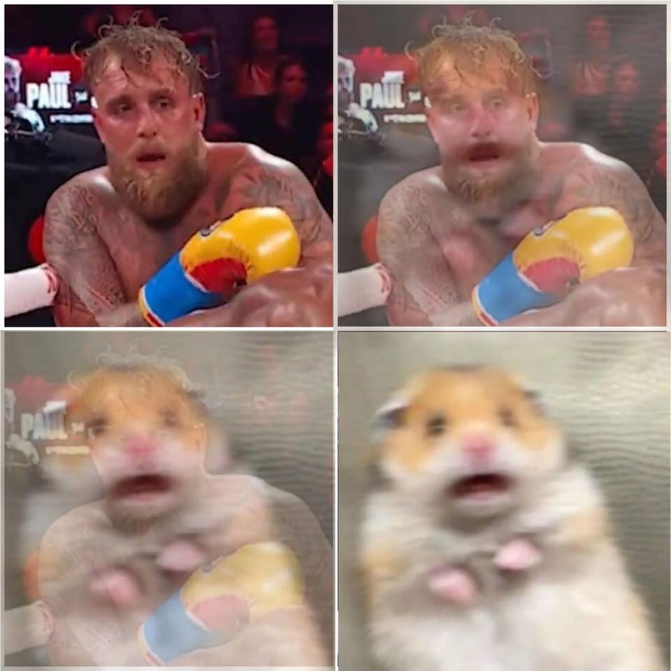 AgentMorganLeFey🇺🇦🇺🇸 tweet media