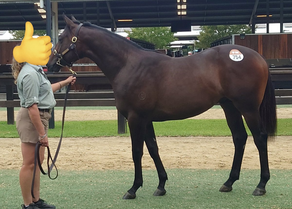 3代母マンデラ、祖母はサンデーレーシングにいたマララ（当時の出資