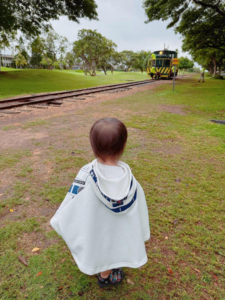 オアフ島西部カポレイにあるハワイ鉄道協会が運行する観光列車は、1888