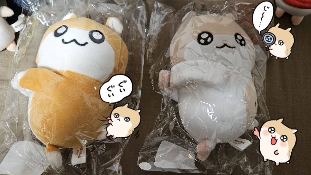 コビハムちゃん【公式】 (@cobihamu_chan) / Posts / X