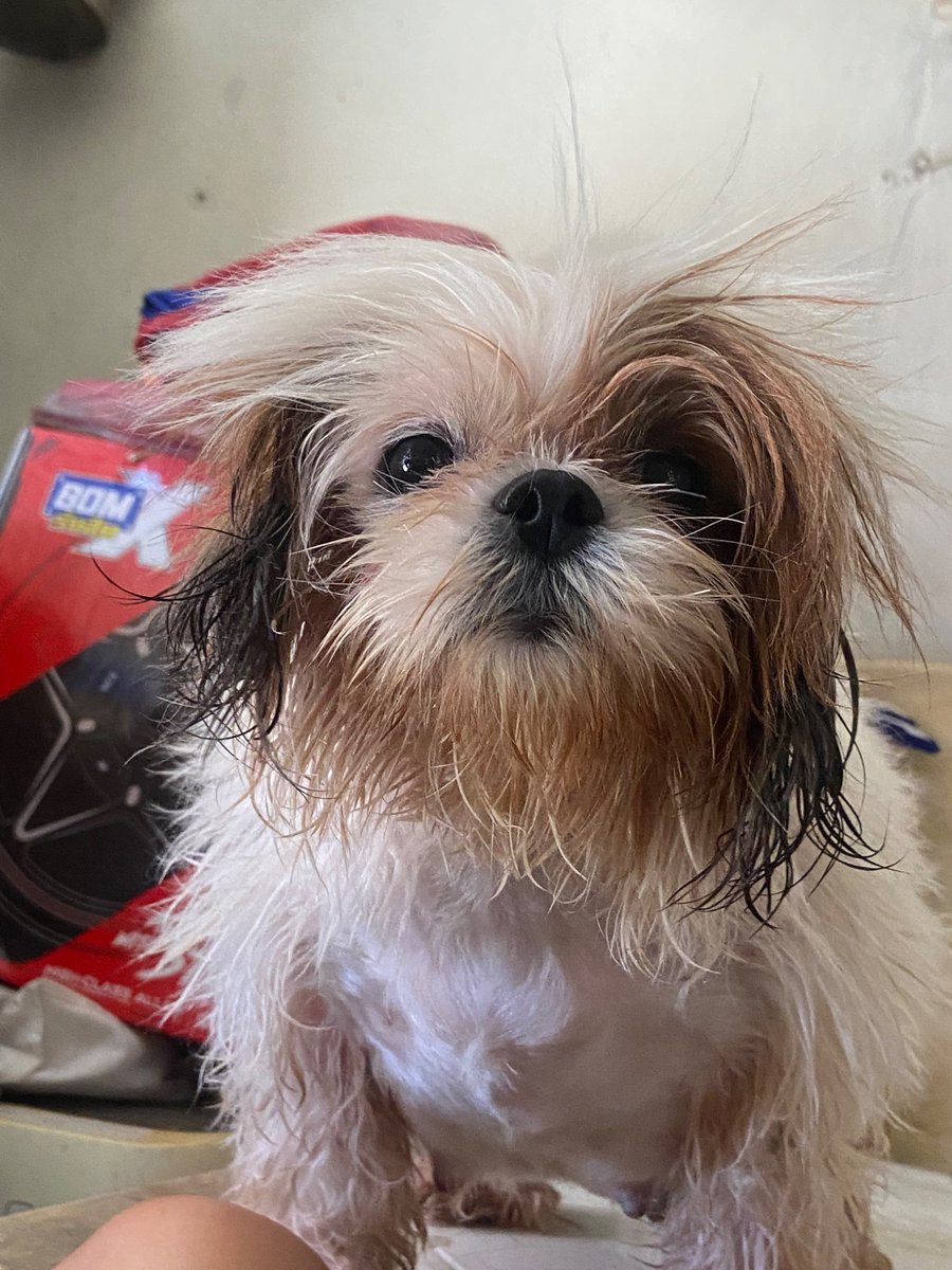 Bagong ligo pixiepot😆