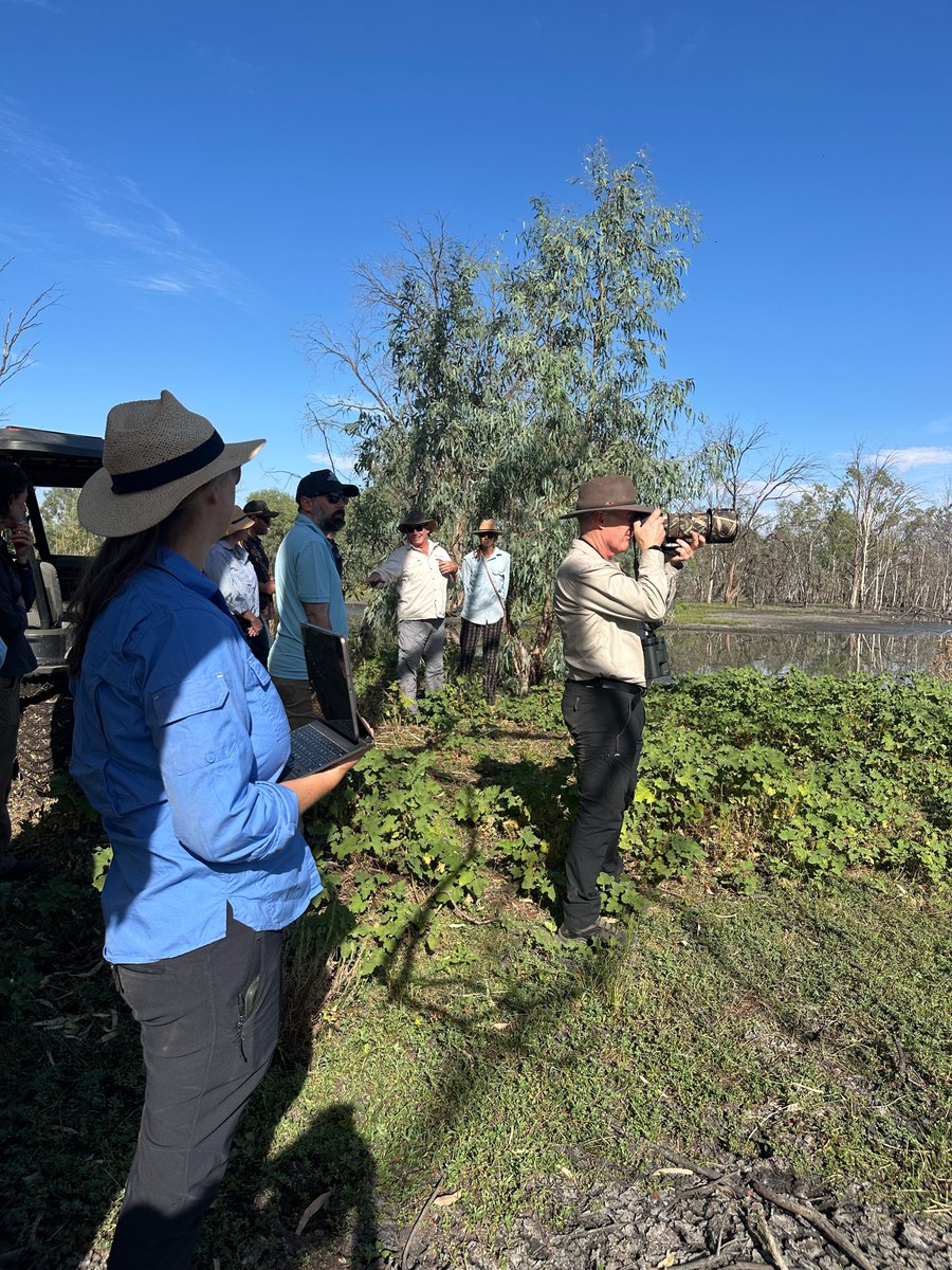 theCEWH's tweet image. The CEWH, @NSWDCCEEW_Water, First Nations groups and landholders launched a water management plan for the Greater Cumbung Region last week. Years of work came to fruition and will build a better future for this special place! #waterfortheenvironment
#firstnations