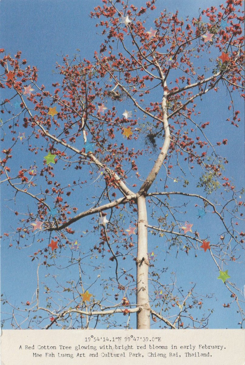 just got some postcard from <a href="/withlovermine/">With Love, Rmine</a> 5 days ago. thank you so much for this adorable new year gift. 

always support na ka (from the stranger who love your work) 🤍