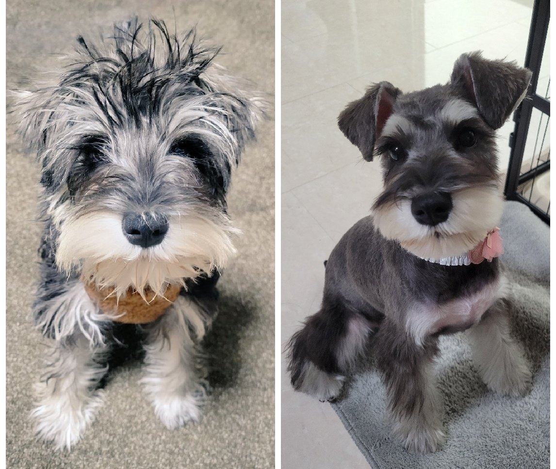 Aya.🍏5/4ゼンジン🏟️ tweet media