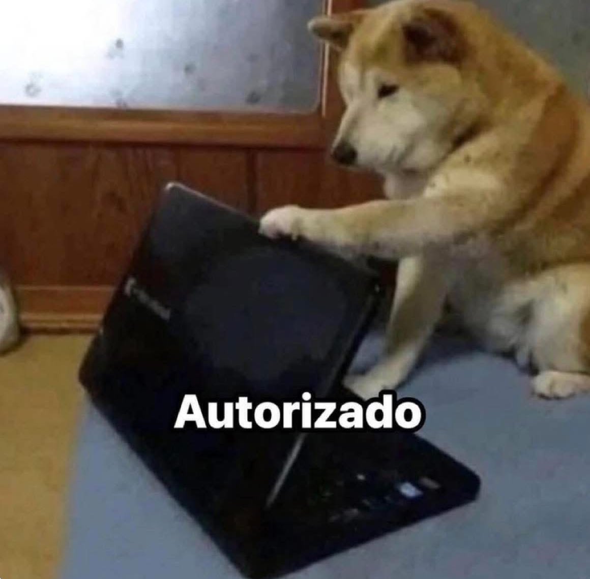 Yo dándome permiso de salir 1 hora antes del trabajo.