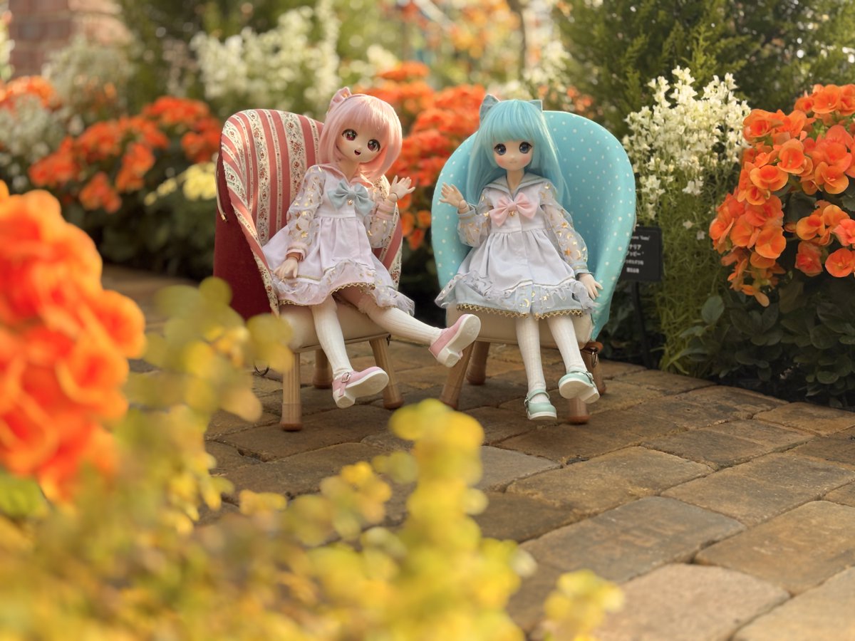 2月なので2人並んだ画像を貼ろうぜ