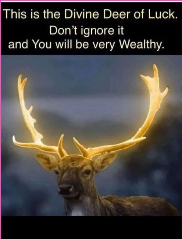 Law_of_attraction tweet media