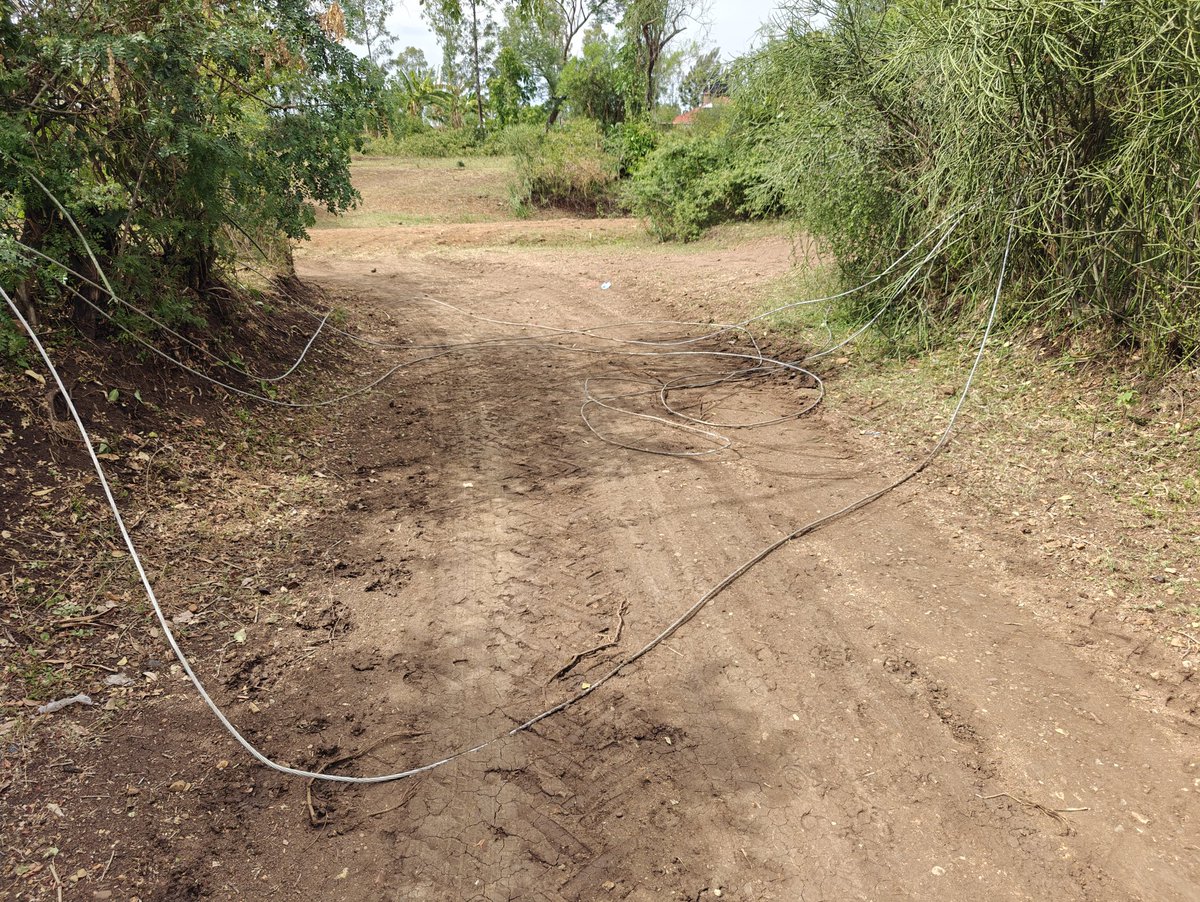 WinnieMandela3's tweet photo. ⚠️ URGENT: Fallen electricity poles &amp; live power lines have been lying on the ground since December 2025 in Ngeta Village, Central Ward,Karachuonyo, Homa Bay.
Residents incl. children are forced to walk over exposed cables daily. This is a serious safety hazard.
@KenyaPower_Care https://t.co/I48RLTwRgP