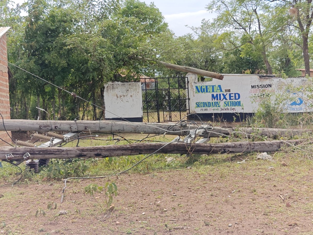 WinnieMandela3's tweet photo. ⚠️ URGENT: Fallen electricity poles &amp; live power lines have been lying on the ground since December 2025 in Ngeta Village, Central Ward,Karachuonyo, Homa Bay.
Residents incl. children are forced to walk over exposed cables daily. This is a serious safety hazard.
@KenyaPower_Care https://t.co/I48RLTwRgP