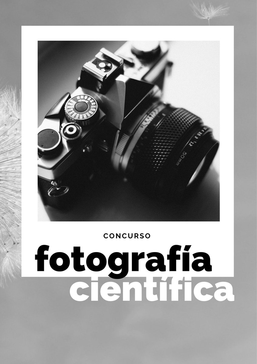 Cirujanos de la Mama tweet media