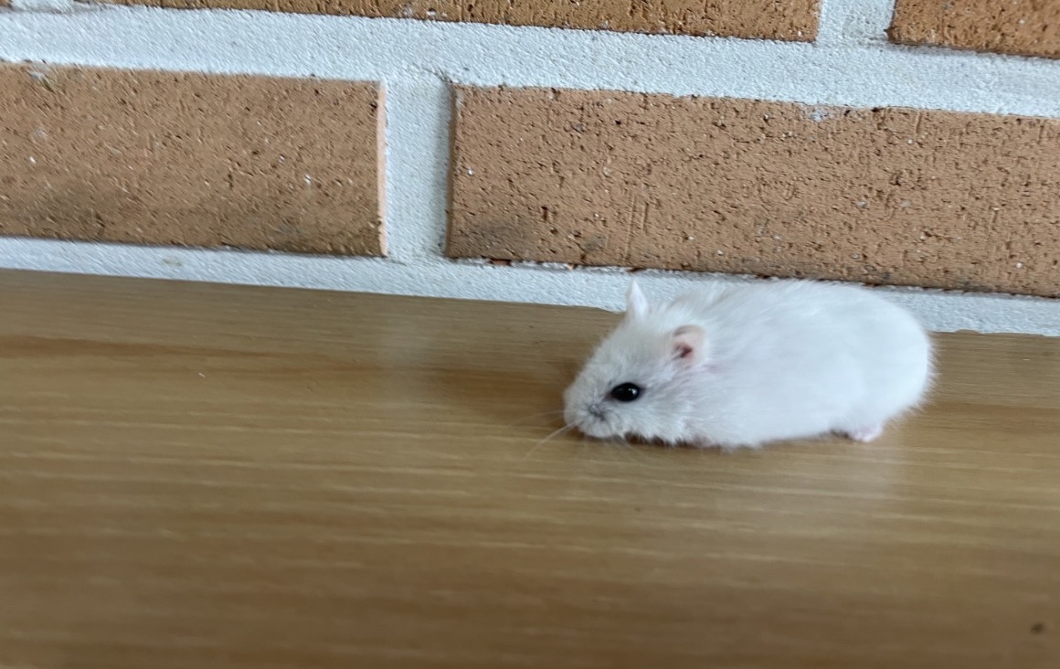 드와뿌닷쮜맘 tweet media