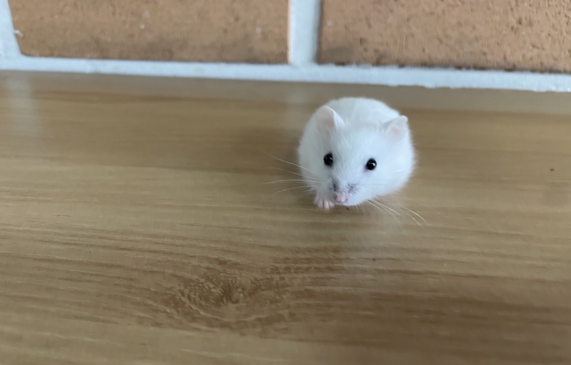 드와뿌닷쮜맘 tweet media