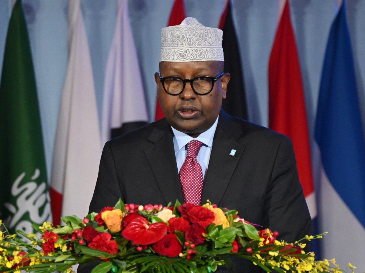 TPObserver's tweet image. 🇸🇴 🇸🇦 ⚡️ — NEW: Somalia and Saudi Arabia sign a memorandum of understanding on military cooperation, signed by Somali Minister of Defence Ahmed Moallim Fiqi and Saudi counterpart Prince Khalid bin Salman bin Abdulaziz in Riyadh.

🔴 The agreement “aims to strengthen the…