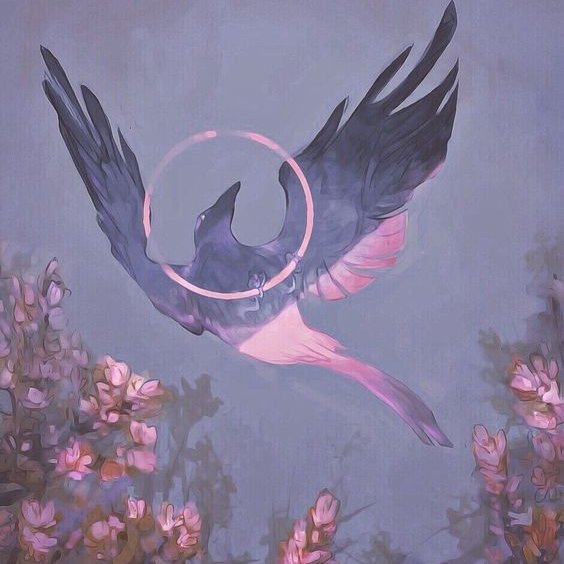 ‍ ‍ ‍ ‍ ‍ ‍ ‍ ‍ ⋆ 𝗦𝗛𝗘𝗡 𝗟𝗜𝗔𝗡. tweet media