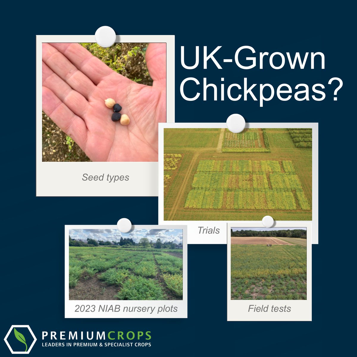 Premium Crops tweet media