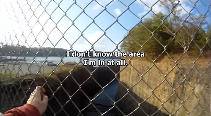 Marble H⦻rnet frames tweet media