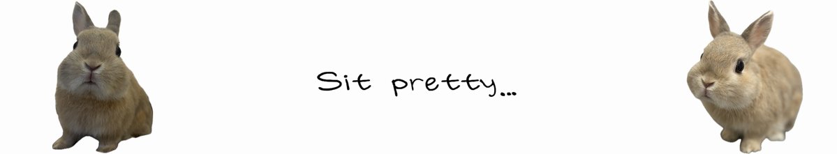うさぎのもか tweet media