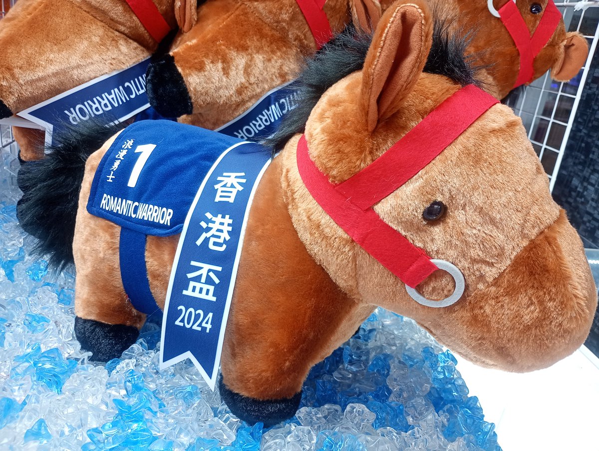 𝓝𝓮𝔀 ⸝⋆˙⟡ #サラブレッドコレクション 香港カップのロマンチック