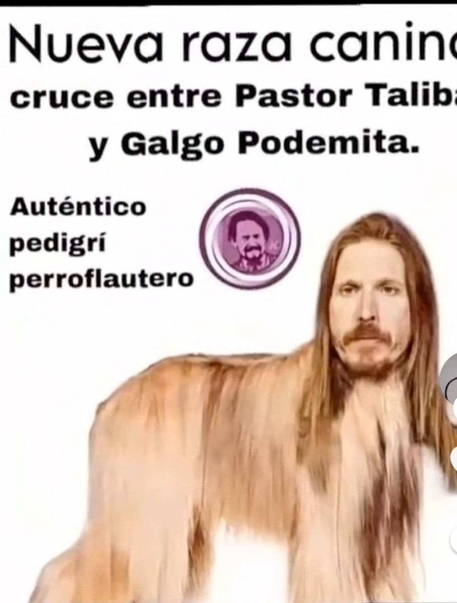 Almudena93353's tweet image. Desfigurado la nueva raza canina
Jjjjǰjjjjjjjjjjjjjjjjjjjǰjj