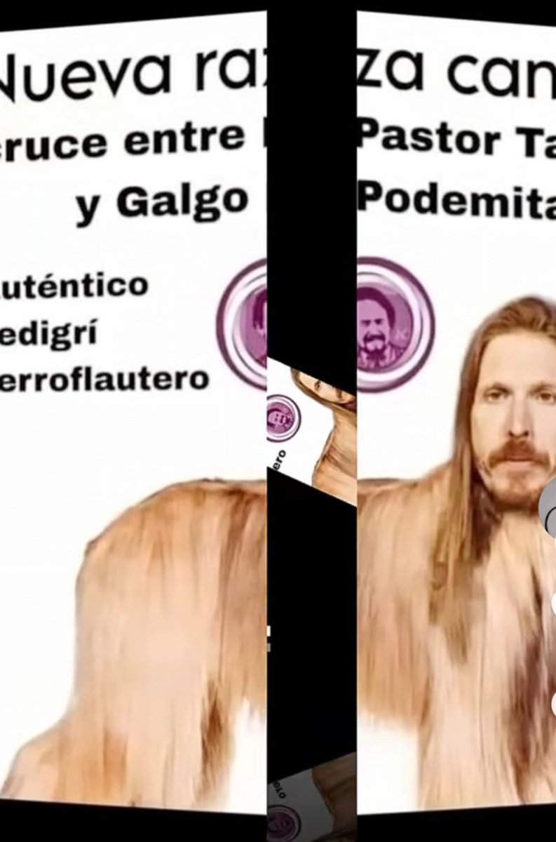 Almudena93353's tweet image. Desfigurado la nueva raza canina
Jjjjǰjjjjjjjjjjjjjjjjjjjǰjj