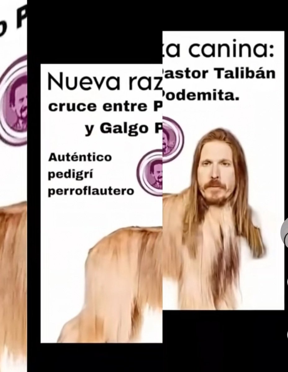 Almudena93353's tweet image. Desfigurado la nueva raza canina
Jjjjǰjjjjjjjjjjjjjjjjjjjǰjj