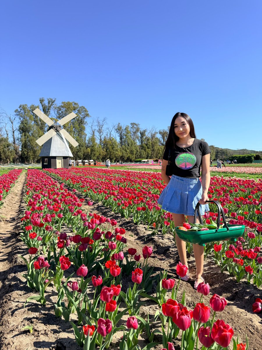 🌷 where this flower blooms ..