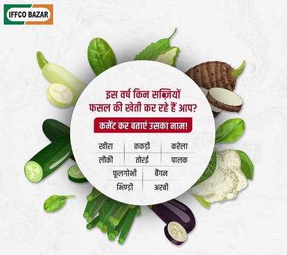 IFFCOBAZAR's tweet image. फरवरी से मार्च के महीनों में आप कौन-सी सब्ज़ियों की बुवाई करना चाहते हैं?
कमेंट बॉक्स में अपना उत्तर दें और सब्ज़ी का नाम बताएं।
आपके उत्तरों के आधार पर हमारे कृषि विशेषज्ञ सब्ज़ियों की बुवाई से संबंधित कुछ विशेष सुझाव साझा करेंगे।

#IFFCOBAZAR #AnswerTheQuestion