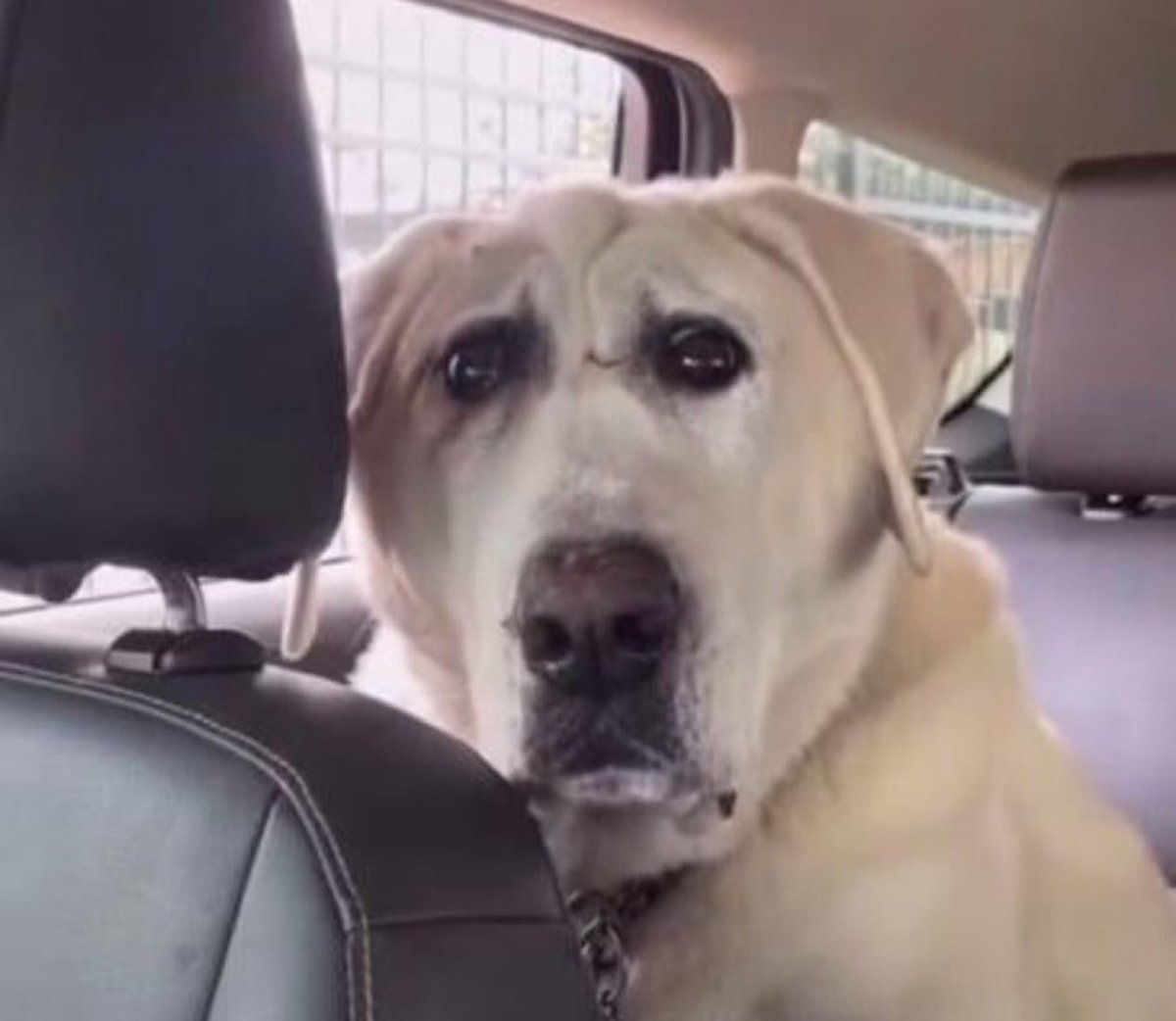 Witnessgem's tweet image. I’ve deleted Barq, god I was on there for years